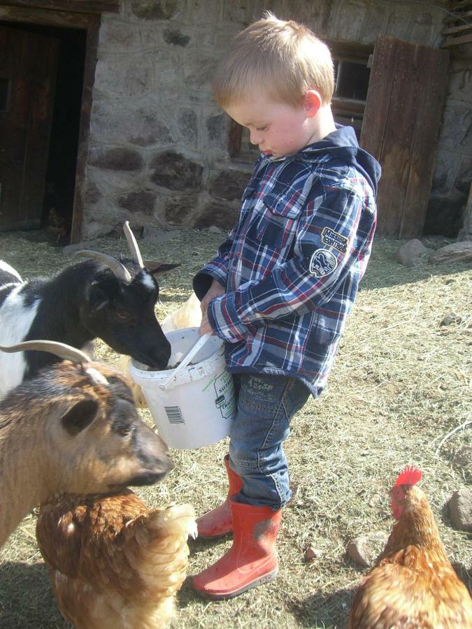 Kompatscherhof Agroturismo Castelrotto